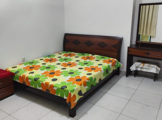 FULL FURNISHED MASTER-HALL-BALCONY-MAID-PARTITION-SMALL ROOM AVAILABLE FOR RENT