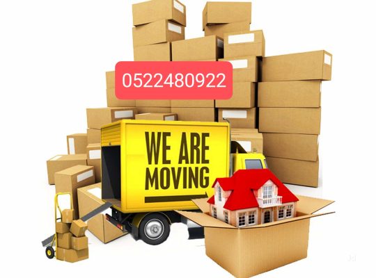 Movers Packers Remram