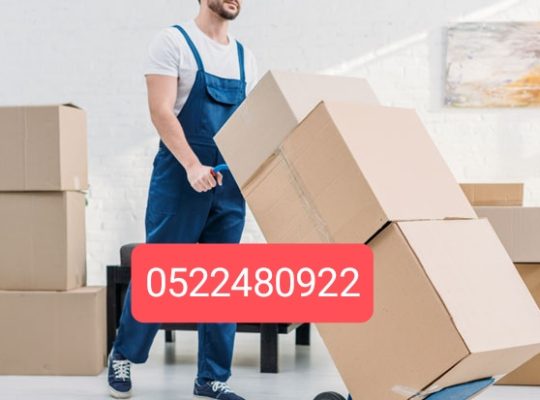 Movers Packers Remram