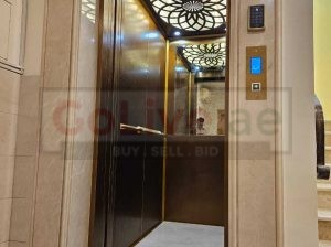 Home Elevator with Automatic Doors
