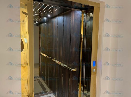 Home Elevator with Automatic Doors