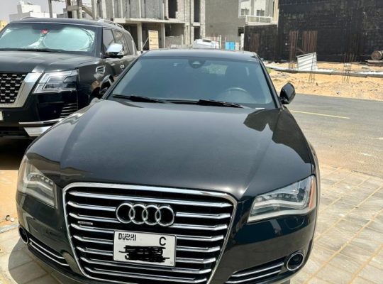 LUXURY CAR HITCHHIKING LIFT IN AJMAN