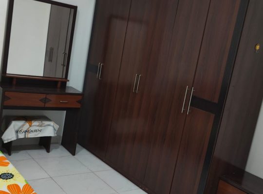 FULL FURNISHED MASTER-HALL-BALCONY-MAID-PARTITION-SMALL ROOM AVAILABLE FOR RENT