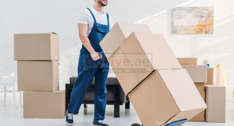 Movers Packers Dubai South