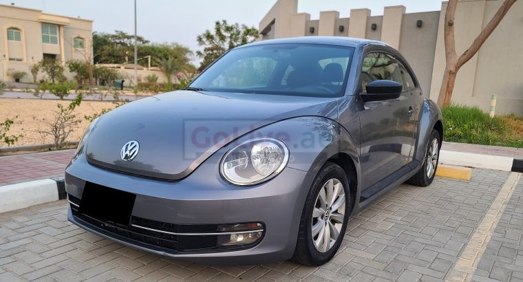VOLKSWAGON BEETLE,1600 CC, US SPECS, 2014 FRESH IMPORT