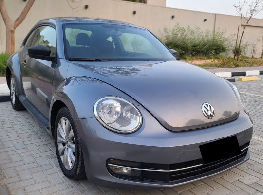 VOLKSWAGON BEETLE,1600 CC, US SPECS, 2014 FRESH IMPORT