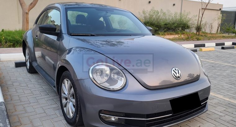 VOLKSWAGON BEETLE,1600 CC, US SPECS, 2014 FRESH IMPORT