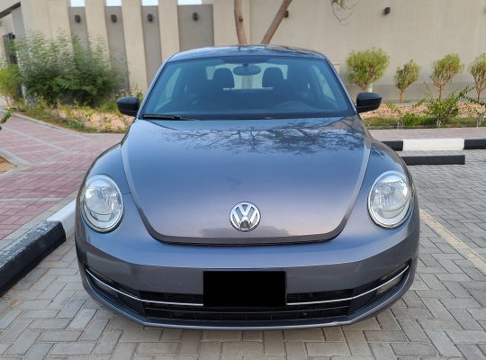 VOLKSWAGON BEETLE,1600 CC, US SPECS, 2014 FRESH IMPORT