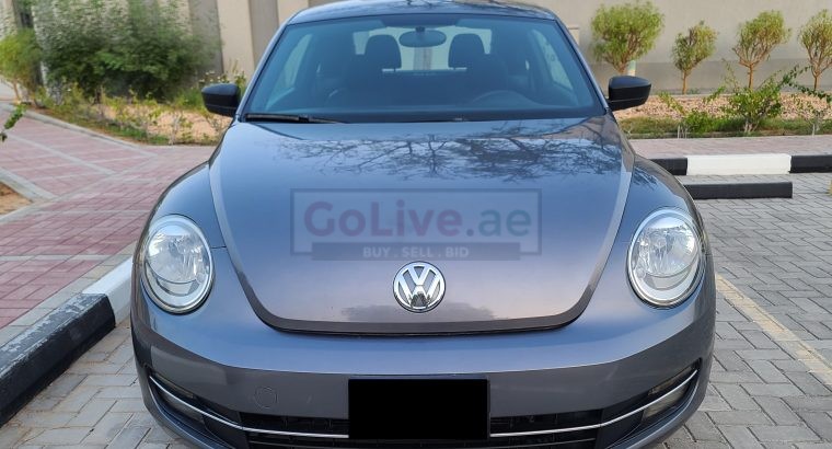 VOLKSWAGON BEETLE,1600 CC, US SPECS, 2014 FRESH IMPORT