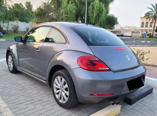 VOLKSWAGON BEETLE,1600 CC, US SPECS, 2014 FRESH IMPORT