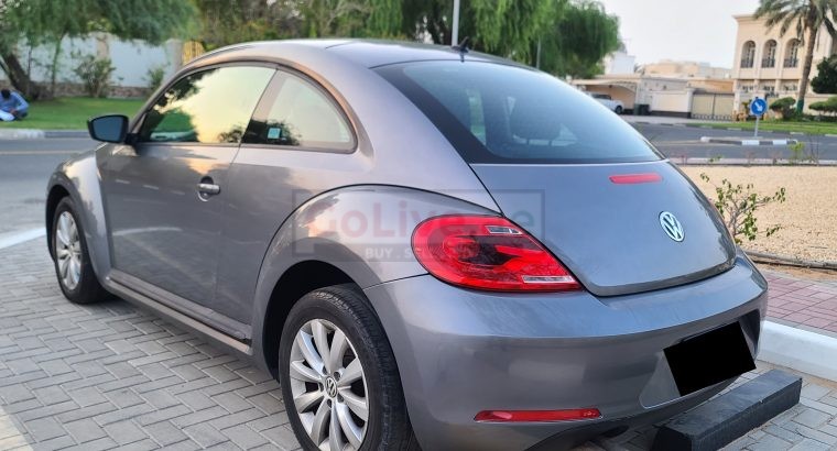 VOLKSWAGON BEETLE,1600 CC, US SPECS, 2014 FRESH IMPORT