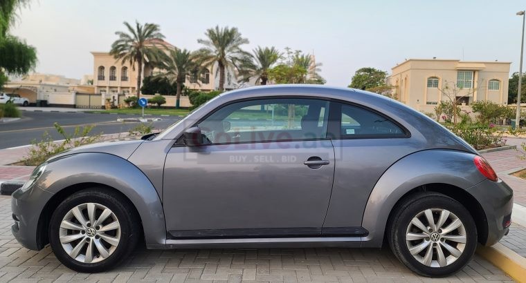 VOLKSWAGON BEETLE,1600 CC, US SPECS, 2014 FRESH IMPORT