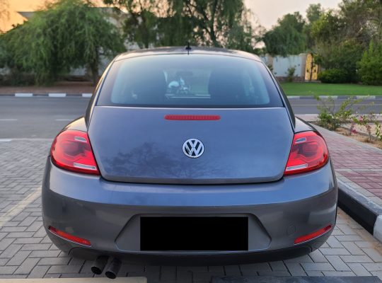 VOLKSWAGON BEETLE,1600 CC, US SPECS, 2014 FRESH IMPORT