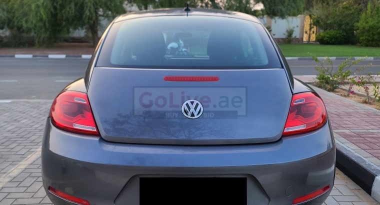 VOLKSWAGON BEETLE,1600 CC, US SPECS, 2014 FRESH IMPORT