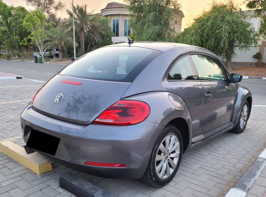 VOLKSWAGON BEETLE,1600 CC, US SPECS, 2014 FRESH IMPORT