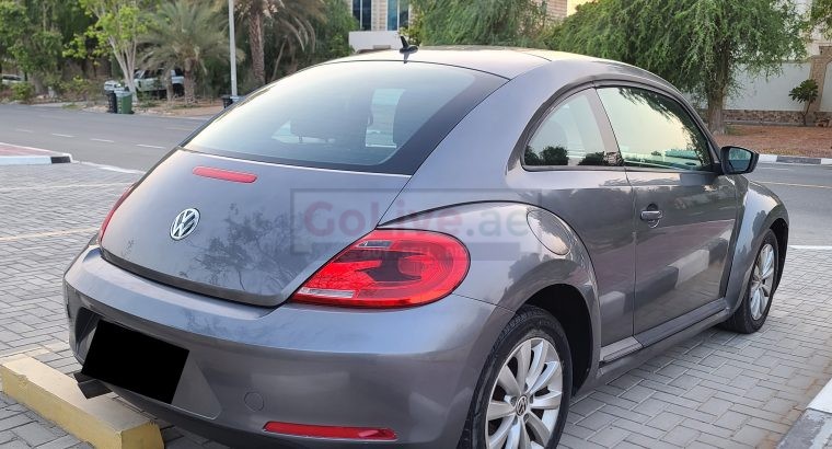 VOLKSWAGON BEETLE,1600 CC, US SPECS, 2014 FRESH IMPORT