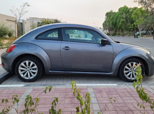 VOLKSWAGON BEETLE,1600 CC, US SPECS, 2014 FRESH IMPORT