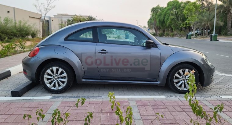 VOLKSWAGON BEETLE,1600 CC, US SPECS, 2014 FRESH IMPORT