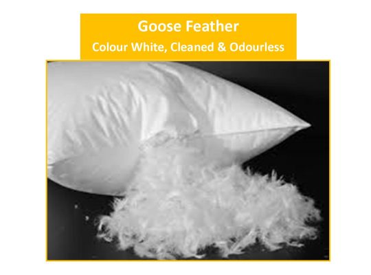 Supplier of Goose Feather Cushions & Pillows, loose white cleaned and odourless Goose Feather, Feather and Down proof lining fabrics, water proof and fire retardant lining fabrics