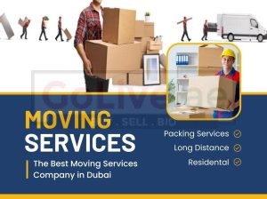 Budget City Movers And Packers in Dubai | Movers in Dubai