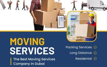 Budget City Movers And Packers in Dubai | Movers in Dubai