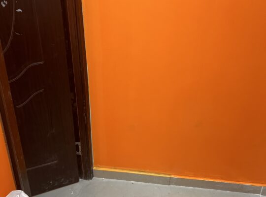 Anti Bacterial painting services in dubai