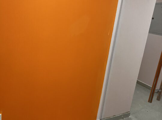 Anti Bacterial painting services in dubai