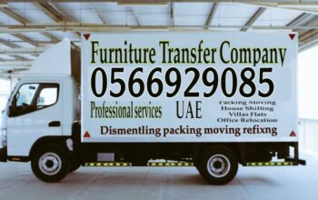 Movers and packers in Abu Dhabi