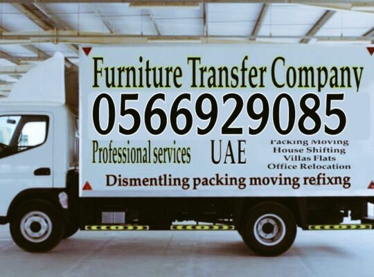 Movers and packers in Abu Dhabi