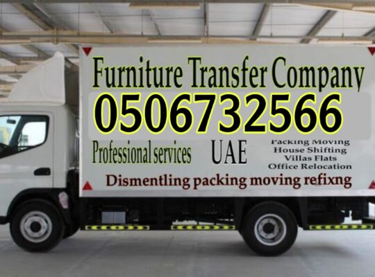 Abu Dhabi movers