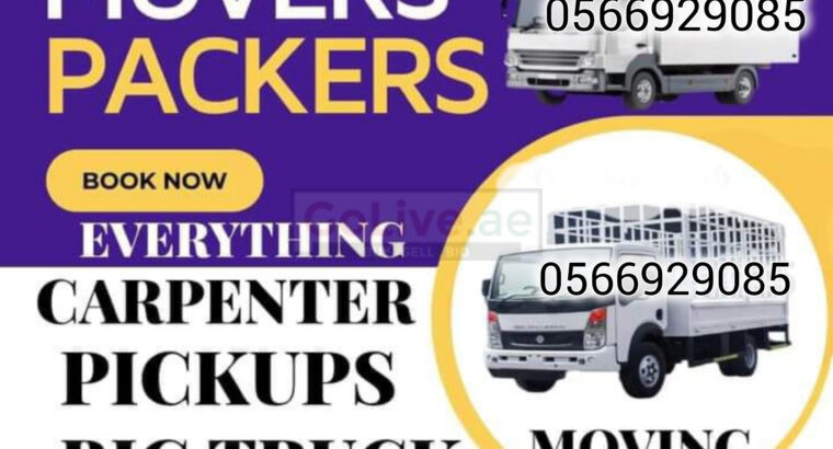 Abu Dhabi movers