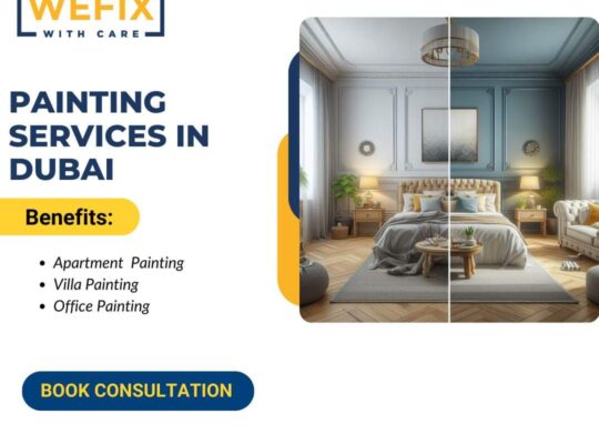 home maintenance, electrical and plumbing also
