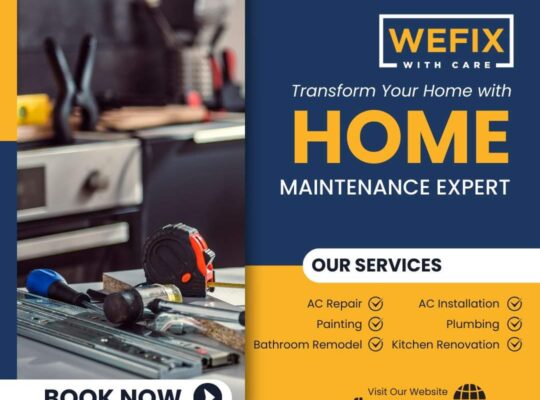 home maintenance, electrical and plumbing also