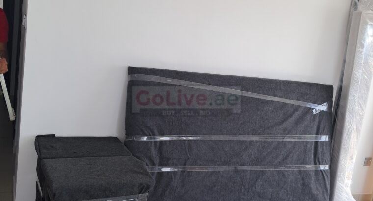 Xperss Movers And Packers in dubai