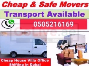 Professional Movers And Packers Company.