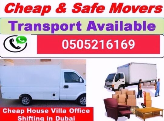 Professional Movers And Packers Company.