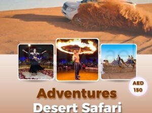 Dune Dreams : Your Desert Adventure