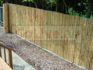 Bamboo Fencing panels in UAE ( Bamboo Fencing panels Supplier in Dubai Al Garhoud )