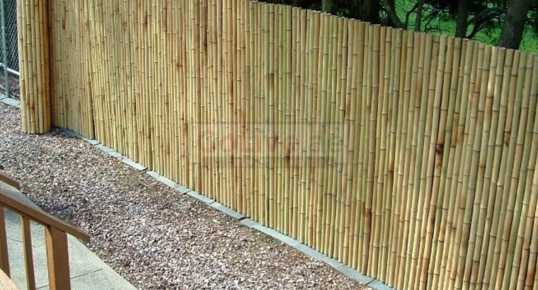 Bamboo supplier in UAE ( Bamboo supplier in Sharjah Industrial Area 6 )