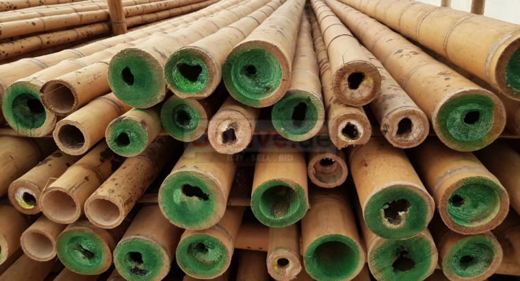 Bamboo Sticks in Bahrain ( Bamboo Sticks in Muharraq Al Hidd )