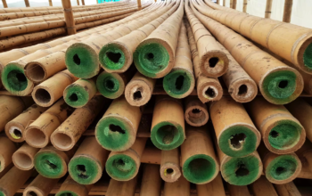 Bamboo supplier in UAE ( Bamboo supplier in Dubai Ras Al Khor )