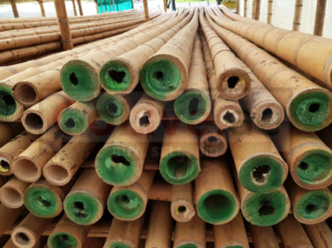 Bamboo Poles in UAE ( Bamboo Poles in Dubai Oud Metha )