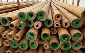 Bamboo supplier in UAE ( Bamboo supplier in Sharjah Industrial Area 4 )