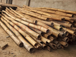 Bamboo Sticks in UAE ( Bamboo Sticks supplier in Dubai Al Satwa )