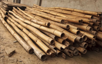 Garden Bamboo Supplier in UAE ( Garden Bamboo Supplier in Dubai Al Quoz Industrial First )