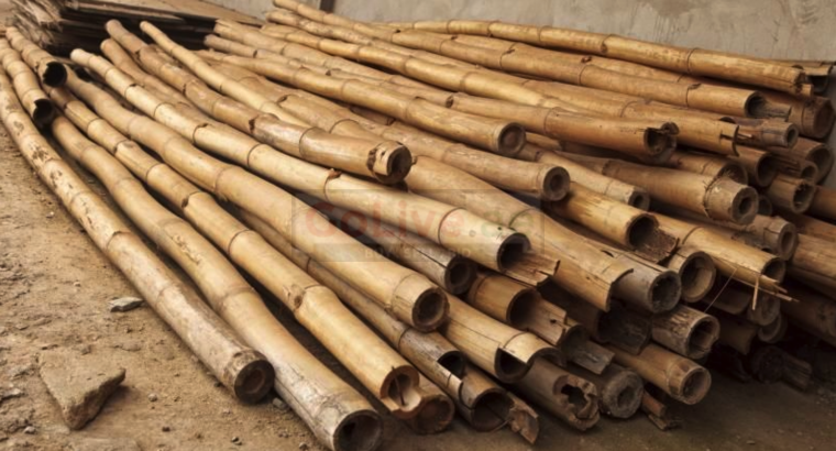 Bamboo Furniture in UAE ( Bamboo Furniture in Dubai Jabal Ali Industrial )