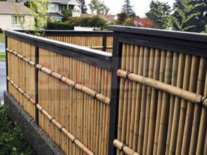 Garden Bamboo Supplier in UAE ( Garden Bamboo Supplier in Dubai Al Garhoud )