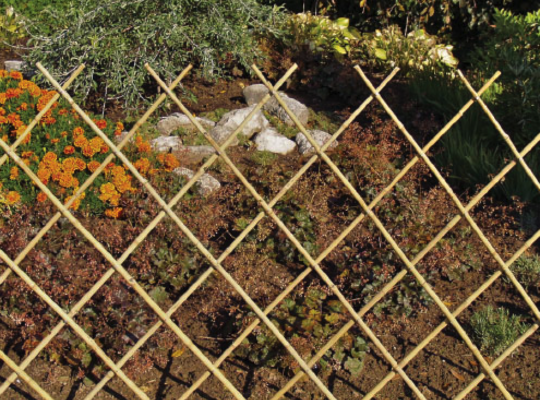 Garden Bamboo Supplier in UAE ( Garden Bamboo Supplier in Dubai Nad Al Hammar )
