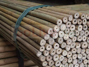 Bamboo Sticks in Bahrain ( Bamboo Sticks in Muharraq Karranah )