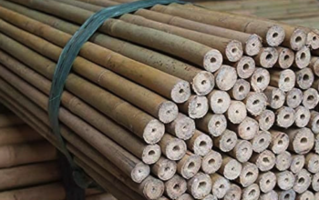 Bamboo Poles in UAE ( Bamboo Poles in Dubai Al Quoz Industrial Second )